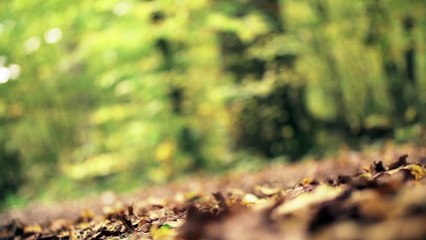 Audi RS 7 Sportback performance