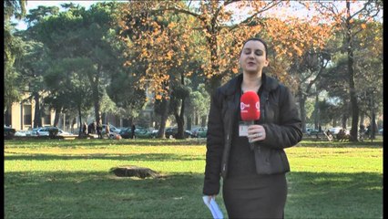 TAKSA E PRONES    22 12 2015