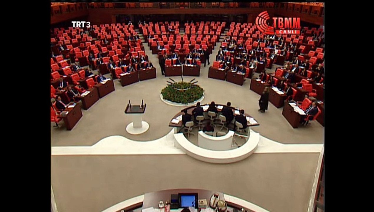 istanbul Milletvekili Hüda Kaya Bu günkü meclis kkonusmasi. 22.12.2015.