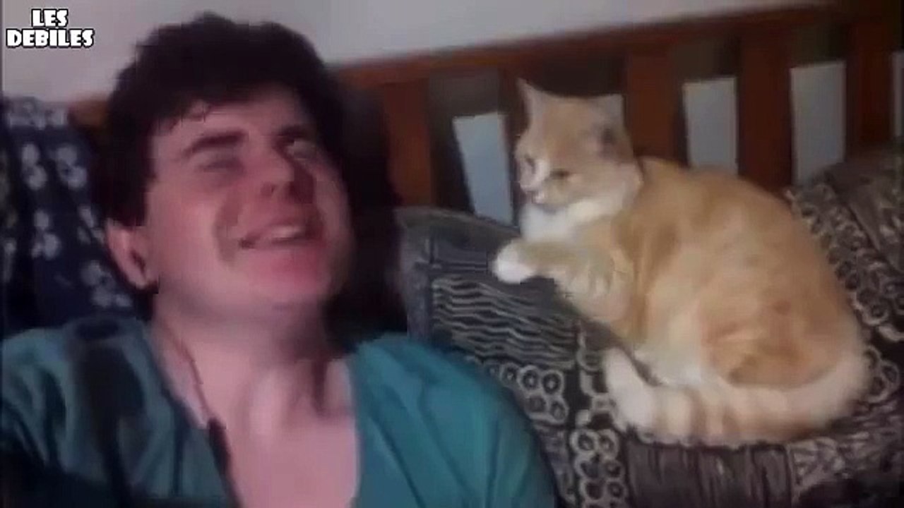 Esnemek bulaşıcıdır kedi