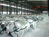 Galvanised coil manufacturer and supplier of China.