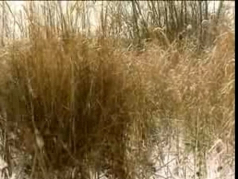 Delpechmode - Enjoy the Loir et Cher