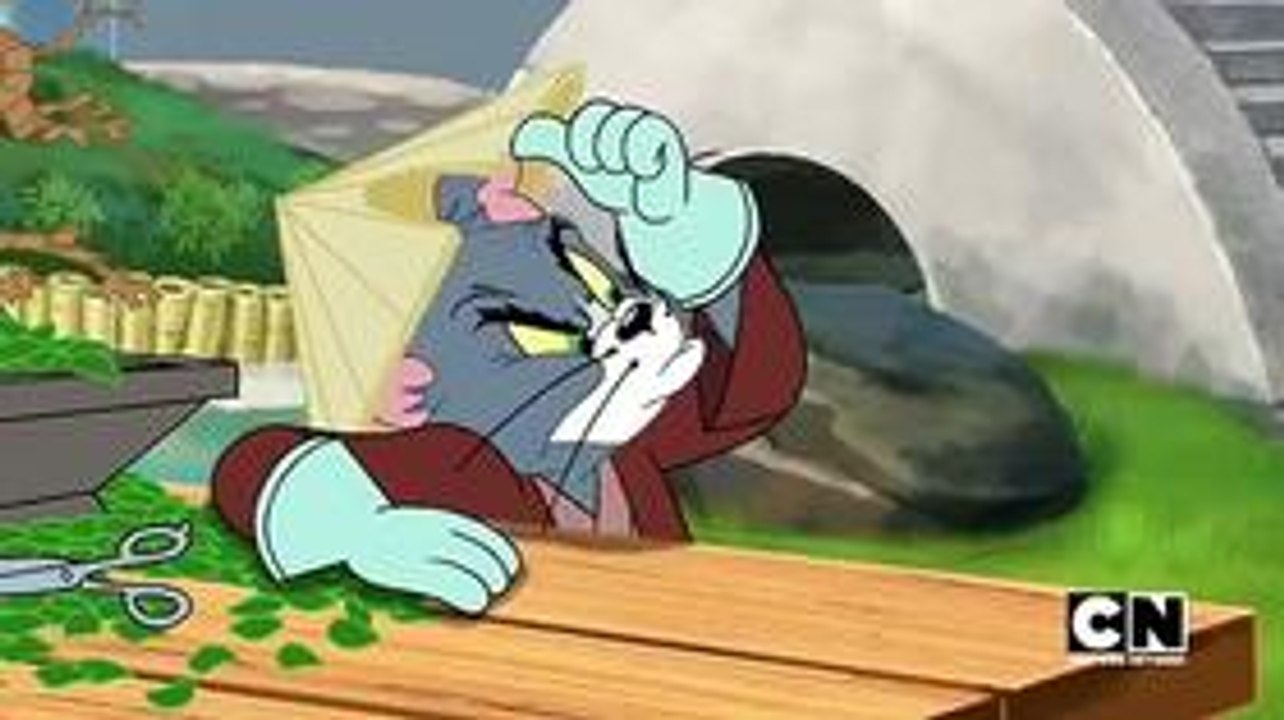 Tom And Jerry Cartoon Zent Out of Shape