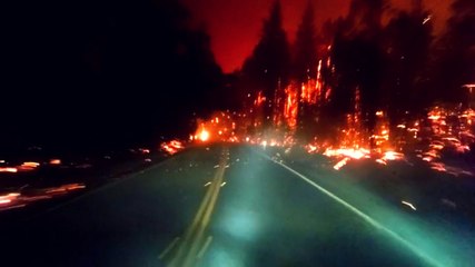Driving Through The Middle of a Forest Fire