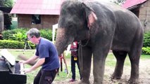 12 Bar Blues - Piano Duet with Peter the Elephant - Thailand
