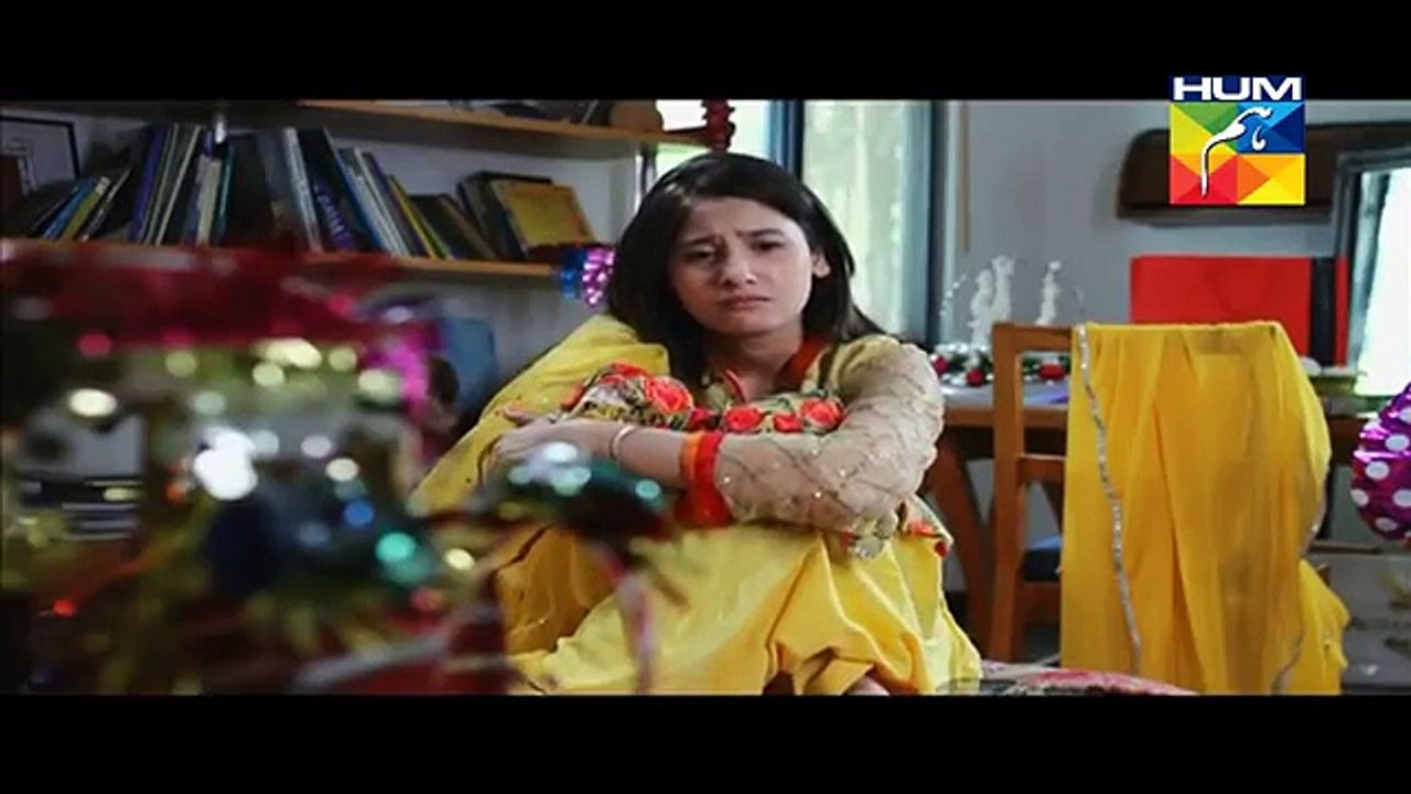 Ek Thi Misaal Episode 30 Full HUM TV Drama 22 Dec 2015