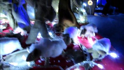 Handmade Christmas cribs and other ART