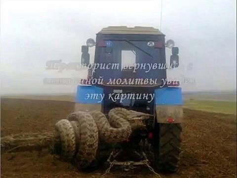 Гигантская змея на Кавказе