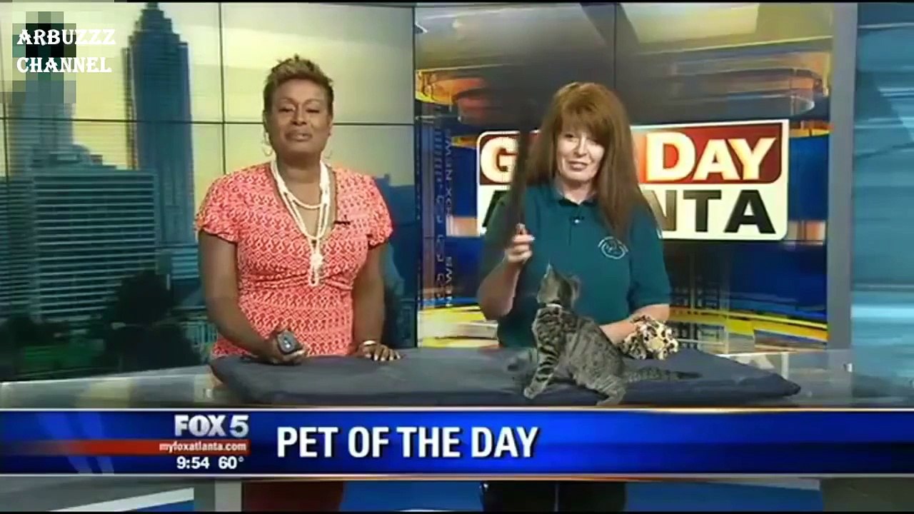 Это Видео Потрясло Весь Мир!Нежданчик!