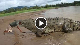 Biggest crocodile eats a man alive