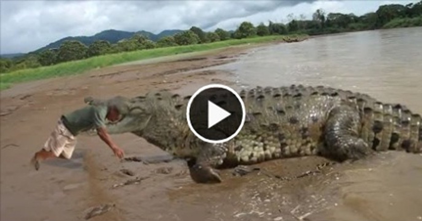 Biggest crocodile eats a man alive