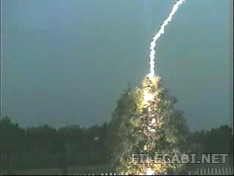 La foudre s'abat sur un arbre