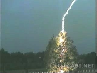 La foudre s'abat sur un arbre