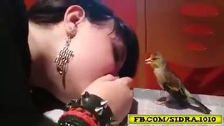A friendship between a bird and a girl - what a friendship