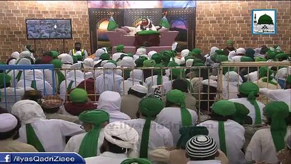 Pathan Qoom aur Lateefay, Maulana Ilyas Qadri