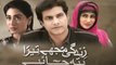 Zindagi Mujhay Tera Pata Chahiye Episode 32 On Ptv Home