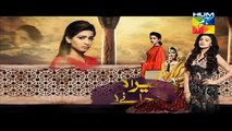 Mera Dard Na Jany Koi Episode 41 Promo HUM TV Drama 22 Dec 2015