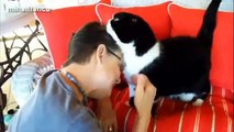 Cute Cats And Kittens Grooming Humans Compilation 2014 [NEW]