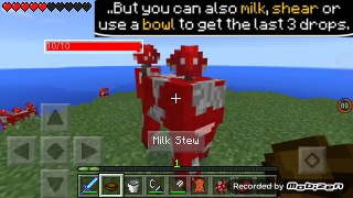 ✔ Minecraft PE: 5 Things You Didnt Know About the Mooshroom