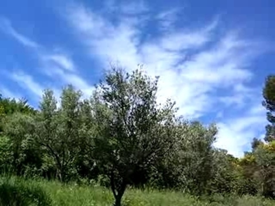 Mistral 15 05 2007
