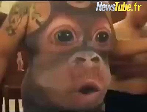 Je suis cryingggggg lol