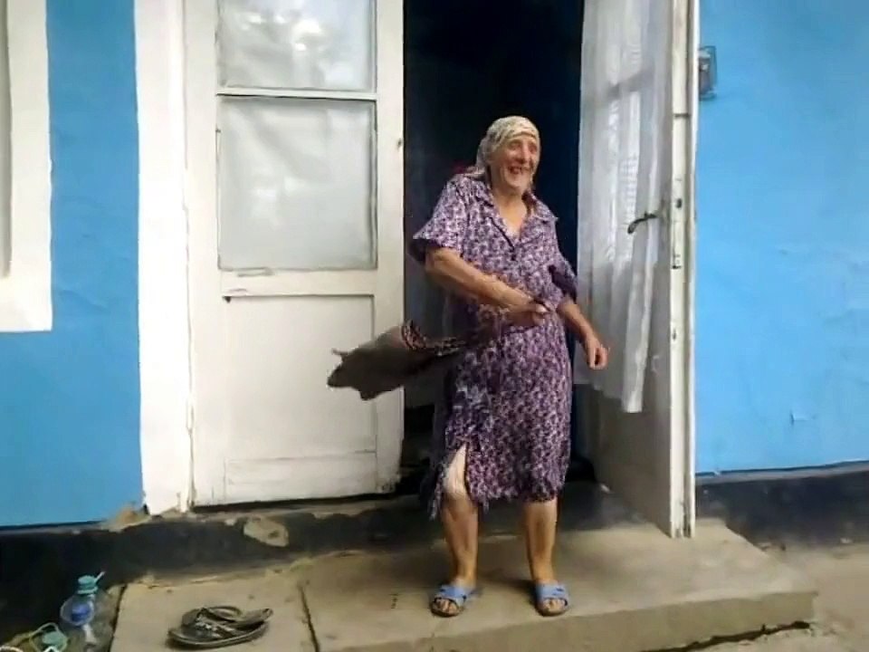 Baba Dansatoare ( Saint Tropez - Florin Salam )