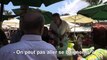 À la Réunion, entre deux rendez-vous de campagne aux primaires... Alain Juppé se jette à l'eau