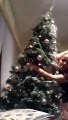 Drunk Woman Destroys Family Christmas Tree By Dancing With It In Hilarious Video