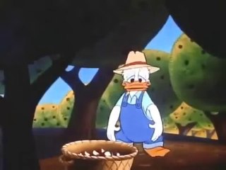Donald Duck --- Donald Duck Classic Cartoon