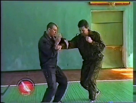 Удары. Защита от ударов 8 Система Кадочникова