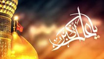 01 Zara Bolo Ali Akbar(as) l Nauhakhawan-Syed Israr Hussain Rizvi l Muharram 1437 Hijri Nohay