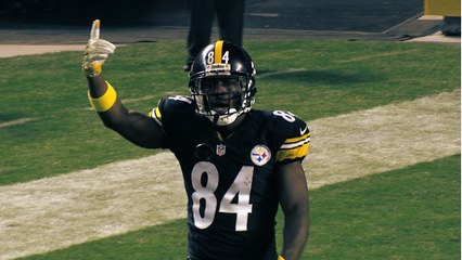 Antonio Brown: Top 10 Plays of 2015