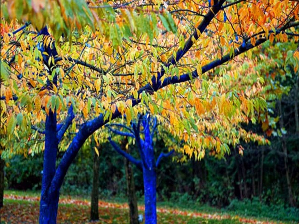 Lindos Hinos de Louvores e Súplicas a Deus - CCB - Janaina Kely - Glória a Deus.