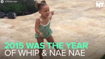 The Year Of The Whip & Nae Nae