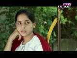 Zara Si Ghalat Fehmi Episode 11 on Ptv Home