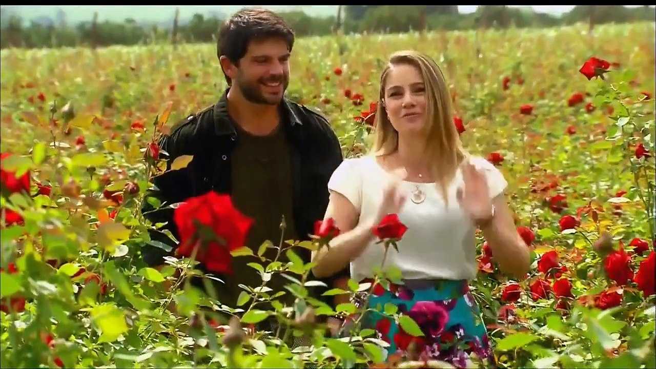 Cúmplices de Um Resgate (12/08/15) Otávio faz surpresa em campo de rosas vermelhas