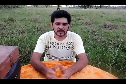 HOMEM COLOCA COBRAS VENENOSAS NA BOCA E É MORDIDO NA LÍNGUA.