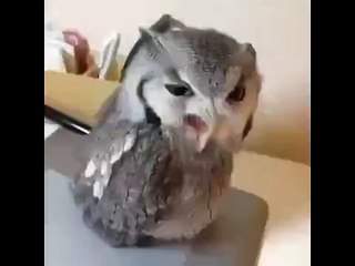 Когда хочешь привлечь внимание, но ты пьяный в щи
