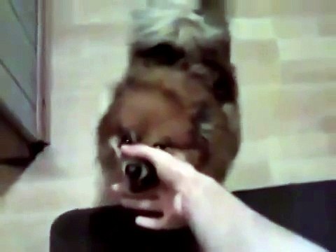 Моя жена по утрам