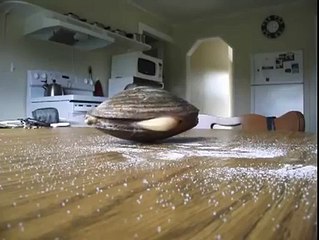 como comen las otras