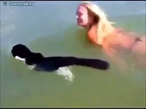 ПЕРВЫЙ РАЗ ТАКОЕ ВИЖУ ПРОСТО ОБАЛДЕТЬ