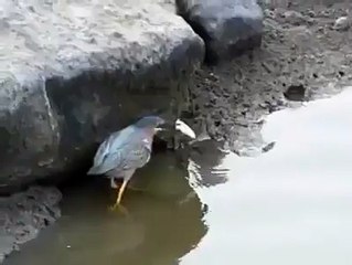 Не фига себе рыбалка!