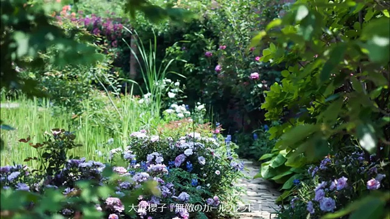 大原櫻子 無敵のガールフレンド Music Video Short Ver Dailymotion Video