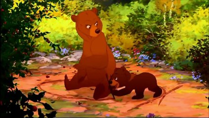 عالطريق أخي الدب