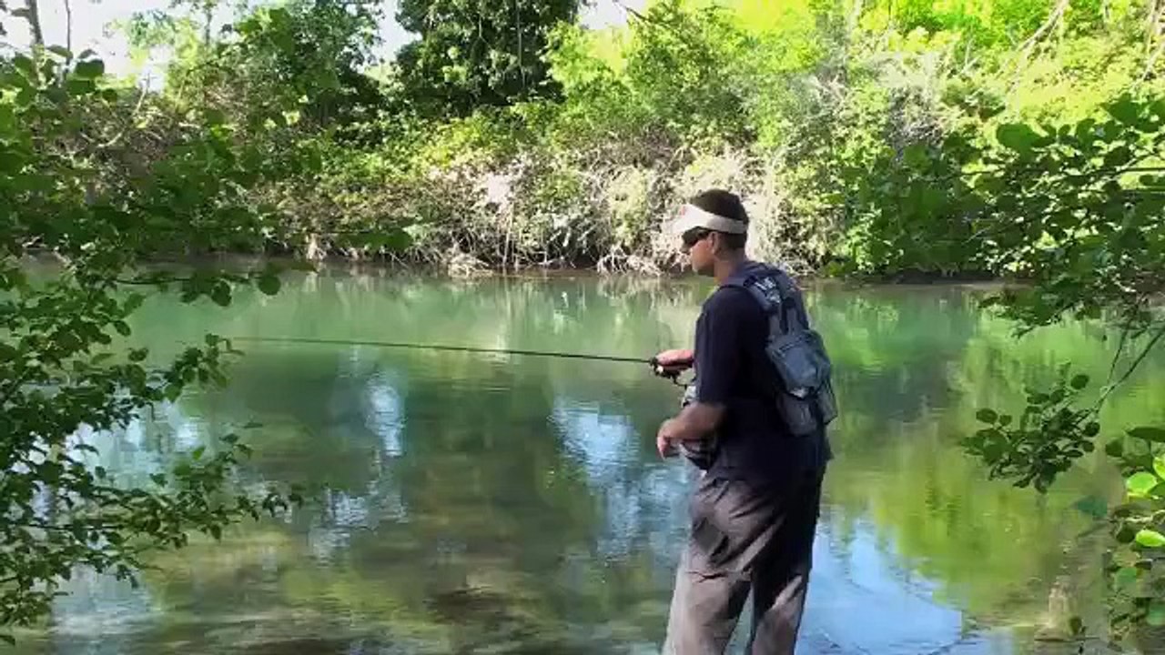 La truite aux poissons nageurs