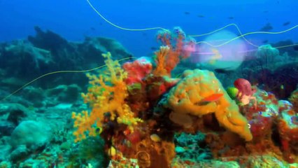 Zig & Sharko - Toys Attack! (s01e78) Full Episode In Hd-47