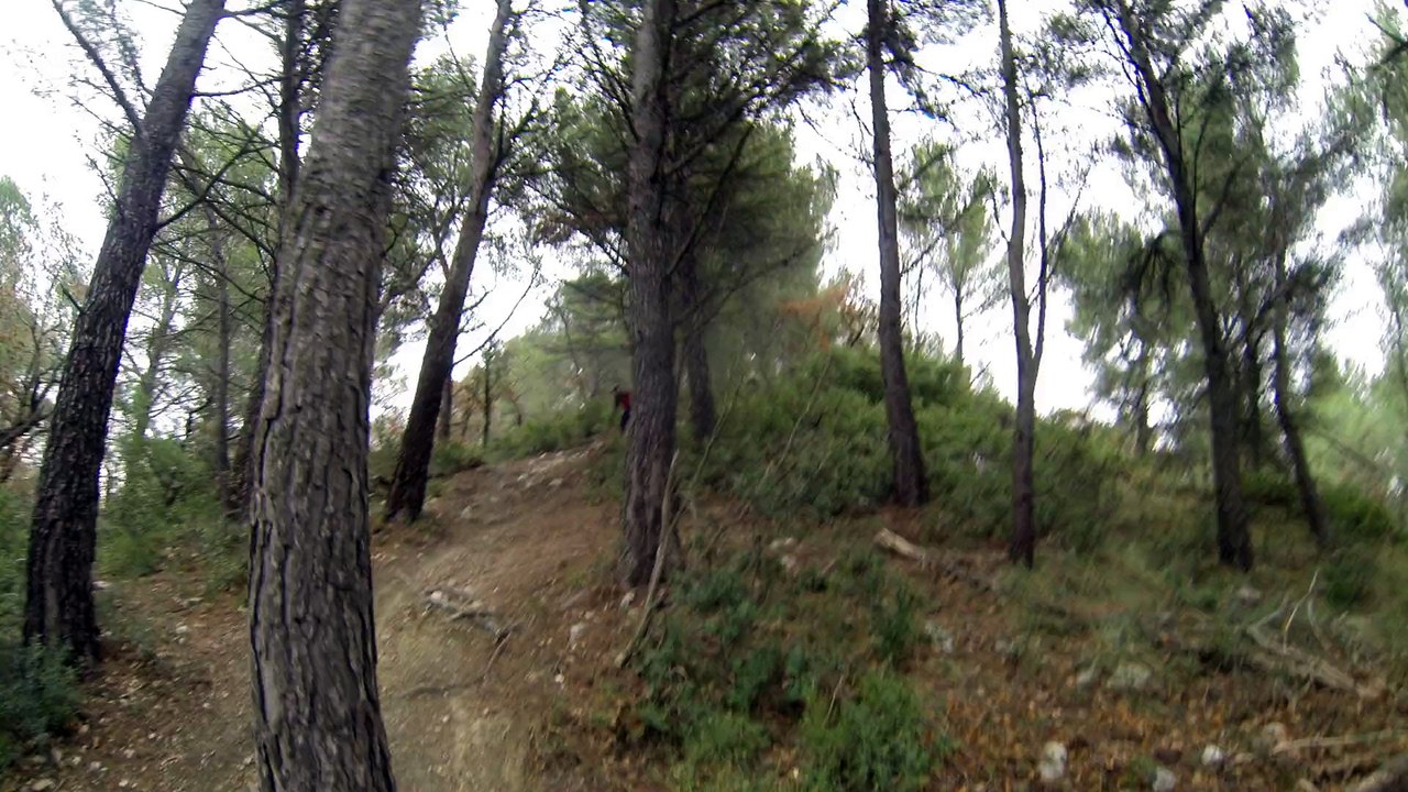 VTT-SAMEDI-19-DEC-81