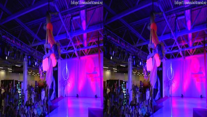 (3D) Exotic Pole Dance Show, EsExpo 2013, Pole4you Инна Катерина