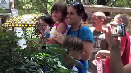 Birth Video - Giant Eland Calf Born at the Houston Zoo