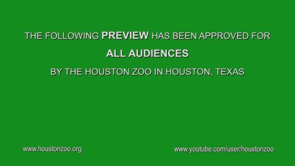 Shell Wars׃ The Tortoise Awakens   Polar Bear Trip